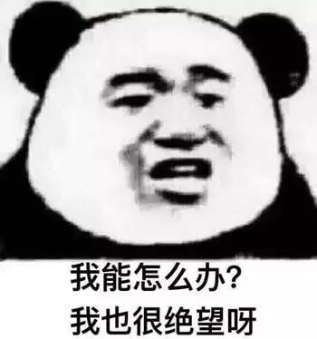 WXOPEN Club 内容图片